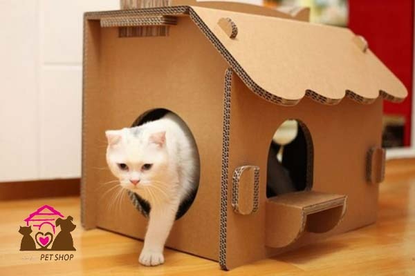 cách làm đồ chơi cho mèo bằng thùng carton