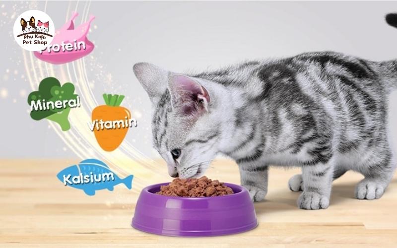 Mèo 1 tháng tuổi ăn gì giàu chất dinh dưỡng