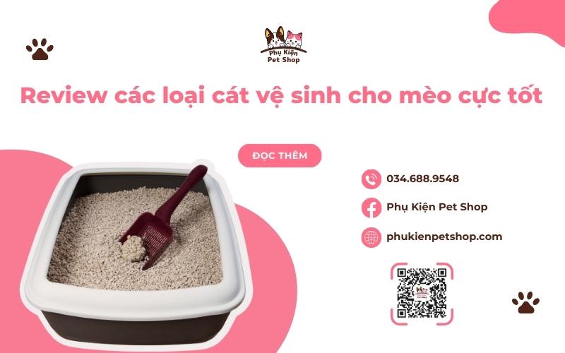 review-cac-loai-cat-ve-sinh-cho-meo
