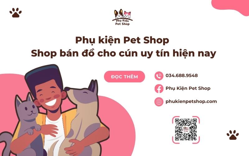 Pet Shop- Shop bán đồ cho cún uy tín hiện nay